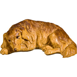 Perro tumbado